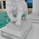 梧州 白麻花岗岩动物异形石雕-大象