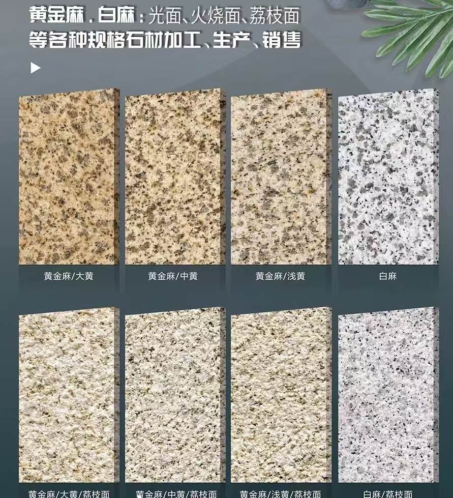 梧州 黄金麻白麻样品展示