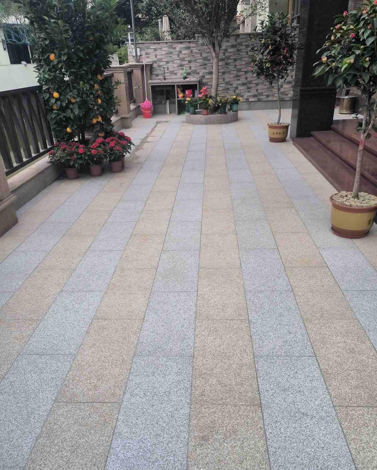 梧州 黄金麻白麻荔枝面庭院铺装展示